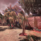 Trees of south Africa