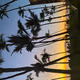 Treasures of Hawaii