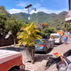 Tribu Malinalco