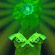 Triggered Icons - Venus