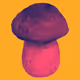 Trippin' Mushies