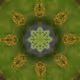 Trippy - 4YSZg5tN03