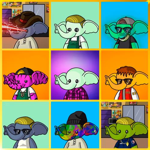 Trippy Trunkz Ivory Club By MD54