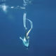 T_DIVE - old