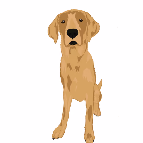 Dog Family Collection - old