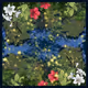 Tropical Jungle