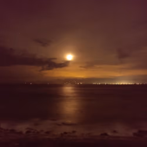 troy's beautiful world