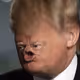 TrumpTweets - old