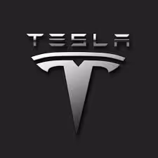 TSLA - Technoking and Master of Coin