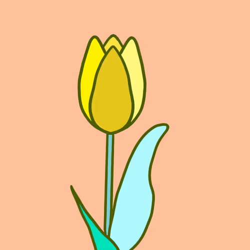 Tulip 2