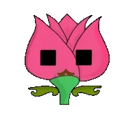 Tulipa plebeius