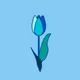 Tulip 1