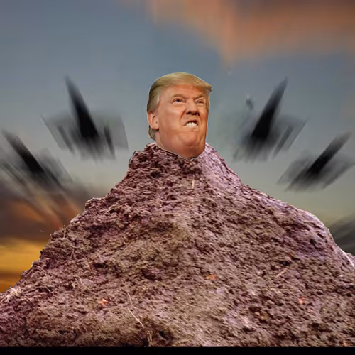 Donald Dump Digital Trading Cards - old