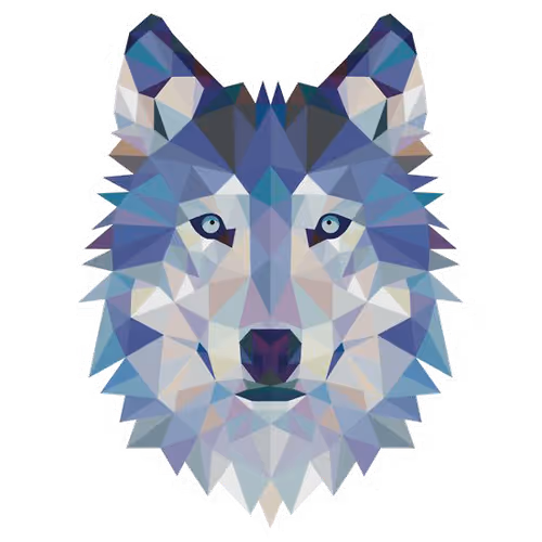 Turkish NFT Collection - old