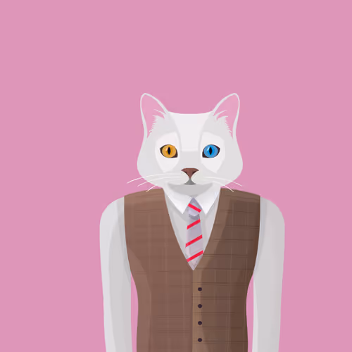 Turkish Van Cat