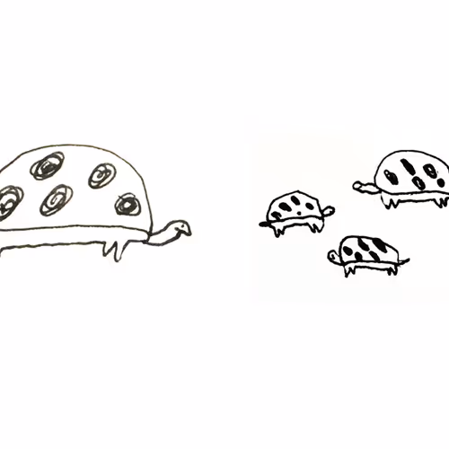 turtle family PW-XTO - old