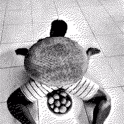 turtle man laying eggs