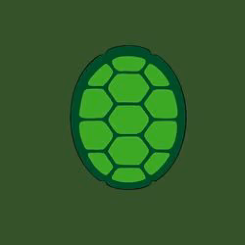 Turtle Tribe NFT