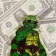 Turtle Billion Club