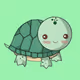 Turtle Of Friendship