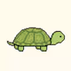 Turtling Turtles