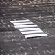 (TVP6000x2m) Trust me