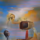 TV ZONE