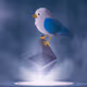 tweeter NFT