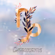 Twelve Constellations 2022