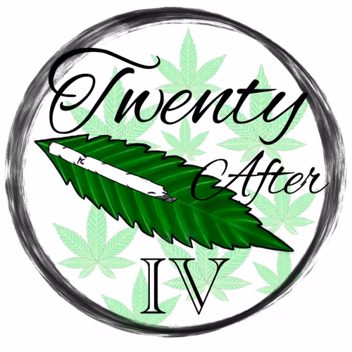 TwentyAfterIV Million $ Plus Idea Collection - old