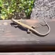 Two-tailed lizard