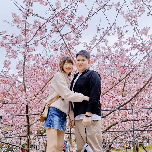 Twopiggy Collection #191889052