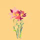 txt Flowers