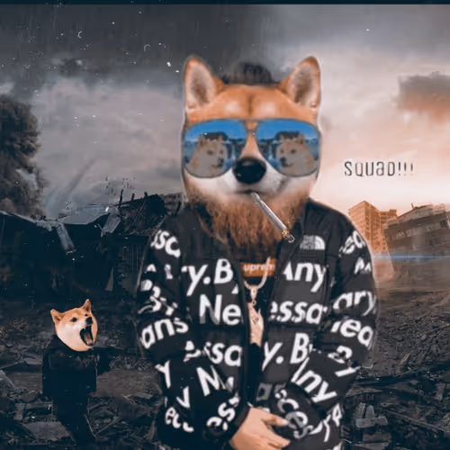 Tyler's Shibe Collection