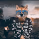 Tyler's Shibe Collection