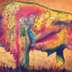 The Bison - old
