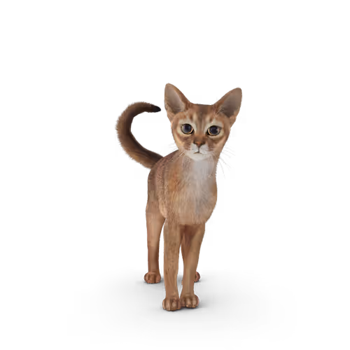 u9cat