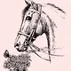 Animals NFTs Uc