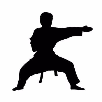 UFC V2
