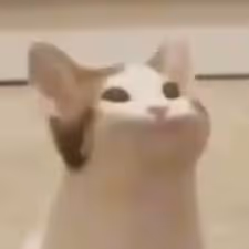 UGLY NFT COLLECTION!!!