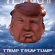 UgTrump Digital Trading Cards