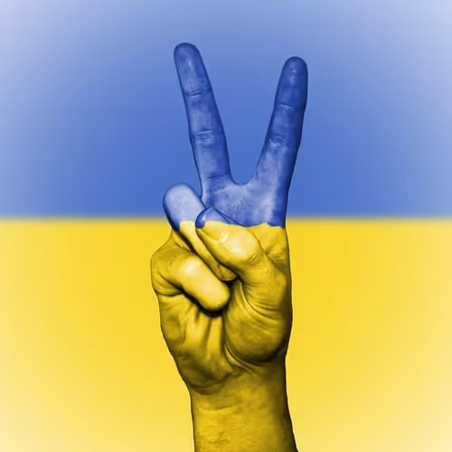 Ukraine Fight Back
