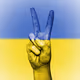 Ukraine Fight Back