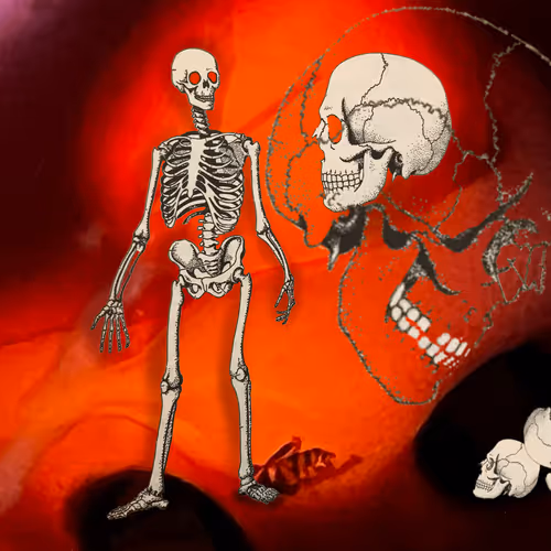 Peace Dove 4 Ukraine - old