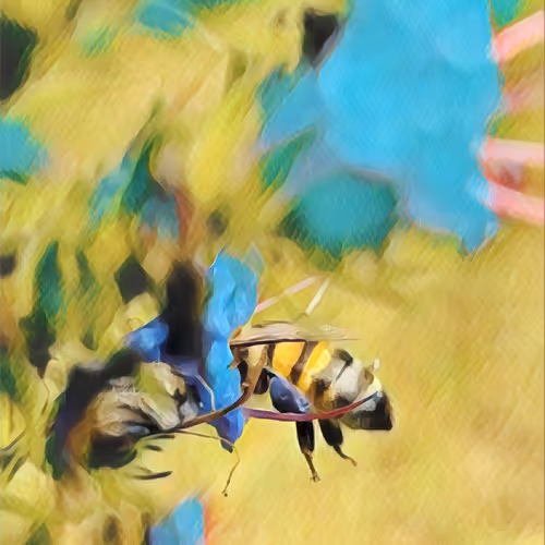 Ukrainian bees of war