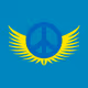 Ukrainian Guardian Angels