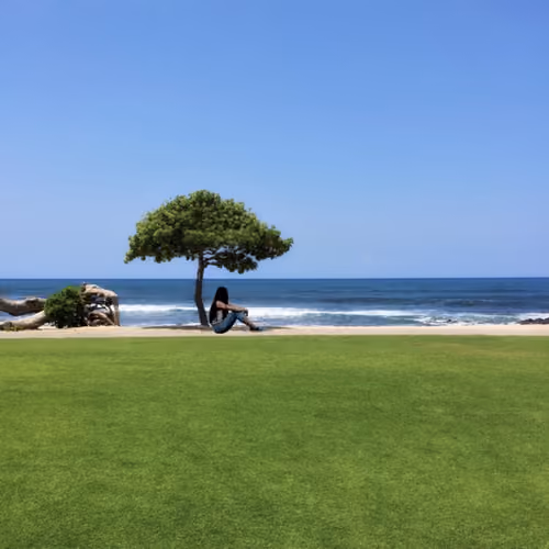 Ultimate Landscape
