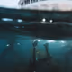 ULTRASEA