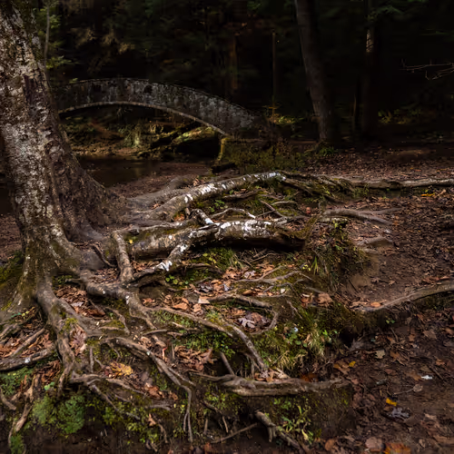 Ultrawide Dreamscapes - old