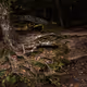 Ultrawide Dreamscapes - old